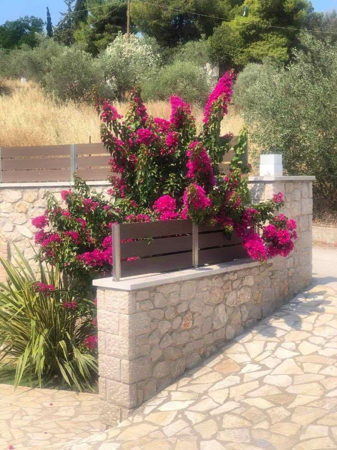 Spilios Apartment Nafplio Ngoại thất bức ảnh
